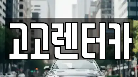 경남 창원시 마산합포구 부림동 렌트카 전문 고고렌터카