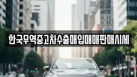 경남 창원시 마산합포구 부림동 중고차매입 전문 한국무역중고차수출매입매매판매시세