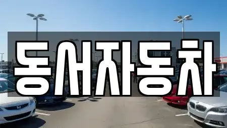 경남 창원시 마산합포구 산호동 중고차매매 전문 동서자동차