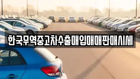 경남 창원시 마산합포구 산호동 중고차매입 전문 한국무역중고차수출매입매매판매시세