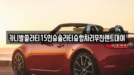 경남 창원시 마산합포구 창포동2가 렌트카 전문 카니발쏠라티15인승솔라티승합차리무진렌트대여