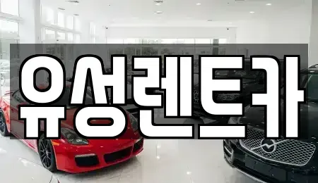경남 창원시 성산구 대원동 렌트카 전문 유성렌트카