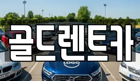 경남 창원시 성산구 사파동 렌트카 전문 골드렌트카