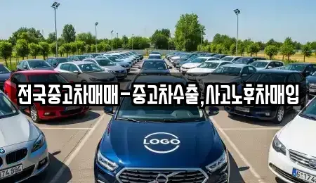 경남 창원시 성산구 사파동 중고차매매 전문 전국중고차매매-중고차수출,사고노후차매입