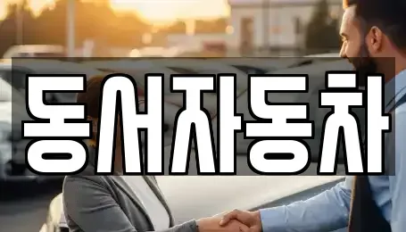 경남 창원시 의창구 소계동 중고차 전문 동서자동차