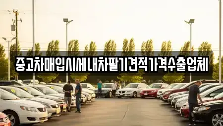 경남 창원시 의창구 소계동 중고차매입 전문 중고차매입시세내차팔기견적가격수출업체