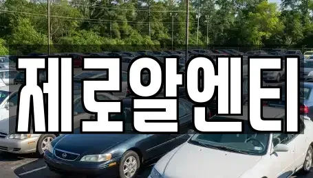 경남 창원시 진해구 동상동 렌트카 전문 제로알엔티
