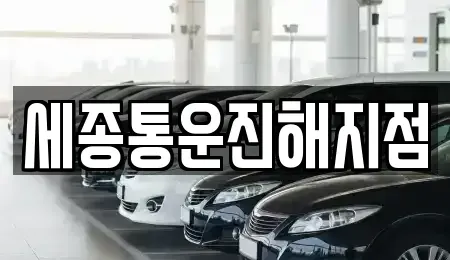 경남 창원시 진해구 북부동 렌트카 전문 세종통운진해지점