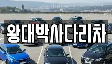 경남 창원시 진해구 북부동 중고차매입 전문 왕대박사다리차