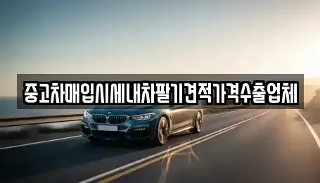 경남 창원시 진해구 석동 중고차매입 전문 중고차매입시세내차팔기견적가격수출업체
