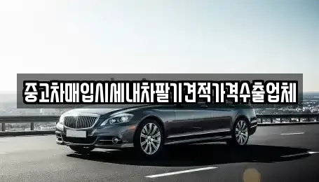 경남 창원시 진해구 성내동 중고차 전문 중고차매입시세내차팔기견적가격수출업체