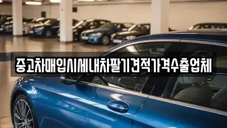 경남 통영시 동호동 중고차 전문 중고차매입시세내차팔기견적가격수출업체