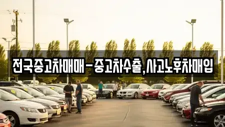 경남 통영시 동호동 중고차매입 전문 전국중고차매매-중고차수출,사고노후차매입