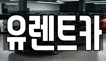 경북 경산시 삼북동 렌트카 전문 유렌트카