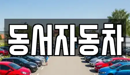 경북 경산시 서상동 중고차 전문 동서자동차
