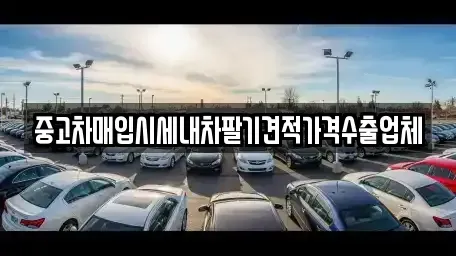 경북 고령군 대가야읍 중고차매매 전문 중고차매입시세내차팔기견적가격수출업체