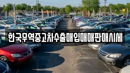 경북 문경시 영신동 중고차매입 전문 한국무역중고차수출매입매매판매시세