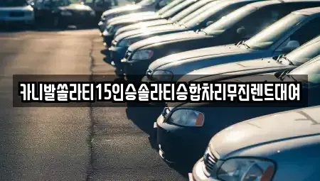 경북 상주시 성하동 렌트카 전문 카니발쏠라티15인승솔라티승합차리무진렌트대여