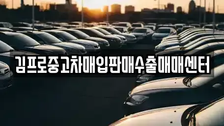 경북 상주시 성하동 중고차 전문 김프로중고차매입판매수출매매센터