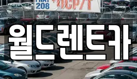 경북 안동시 정하동 렌트카 전문 월드렌트카