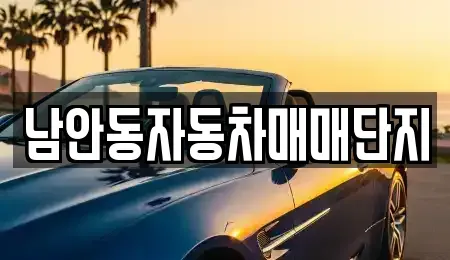 경북 안동시 정하동 중고차 전문 남안동자동차매매단지