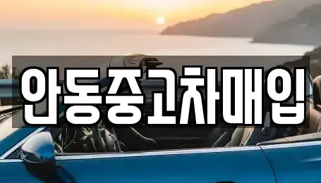 경북 안동시 정하동 중고차 전문 안동중고차매입