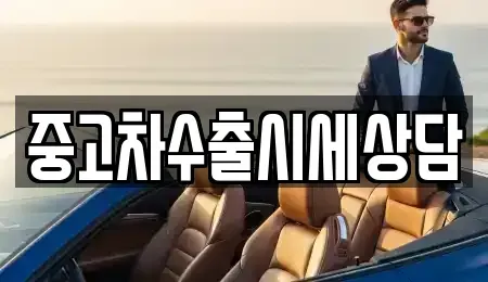 경북 안동시 정하동 중고차 전문 중고차수출시세상담