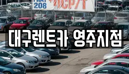 경북 영주시 하망동 렌트카 전문 대구렌트카 영주지점
