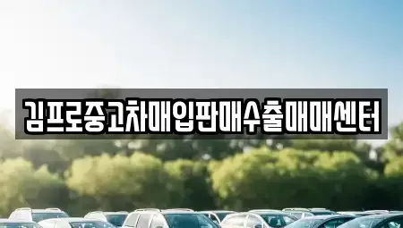 경북 영주시 하망동 중고차매입 전문 김프로중고차매입판매수출매매센터