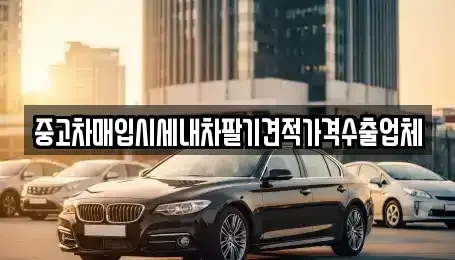 경북 영주시 하망동 중고차매입 전문 중고차매입시세내차팔기견적가격수출업체