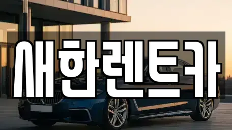 경북 영천시 문내동 렌트카 전문 새한렌트카
