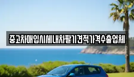 경북 영천시 문내동 중고차매입 전문 중고차매입시세내차팔기견적가격수출업체