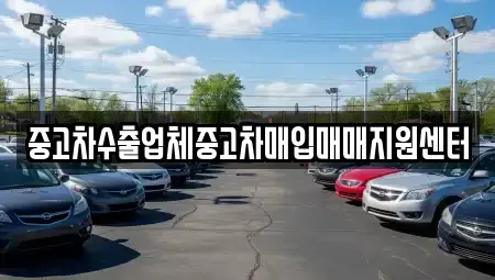 경북 영천시 문내동 중고차매입 전문 중고차수출업체중고차매입매매지원센터