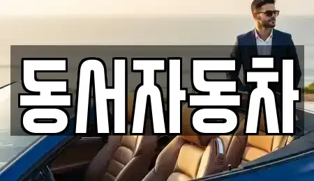경북 청도군 이서면 중고차 전문 동서자동차