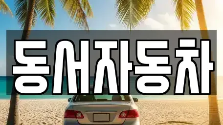경북 포항시 북구 죽장면 중고차 전문 동서자동차