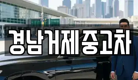 경상남도 거제시 양정동 중고차매매 전문 경남거제중고차