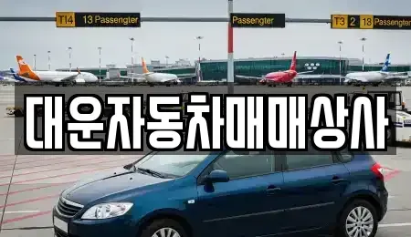 경상남도 거제시 양정동 중고차매매 전문 대운자동차매매상사