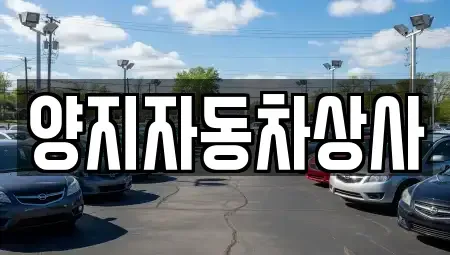 경상남도 거제시 양정동 중고차매매 전문 양지자동차상사