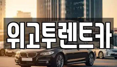 경상남도 김해시 구산동 단기렌트카 전문 위고투렌트카