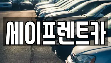 경상남도 김해시 구산동 렌트카 전문 세이프렌트카