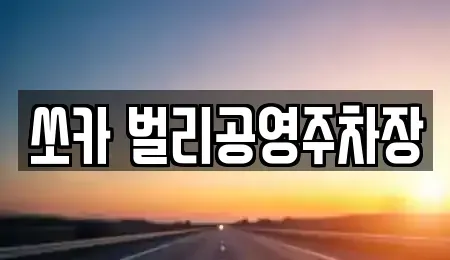경상남도 사천시 동림동 렌트카 전문 쏘카 벌리공영주차장