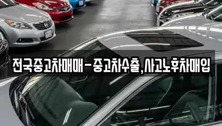 경상남도 사천시 서동 중고차매입 전문 전국중고차매매-중고차수출,사고노후차매입