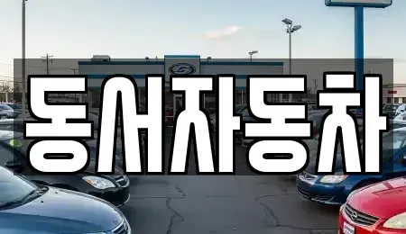 경상남도 진주시 문산읍 중고차매매 전문 동서자동차