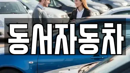 경상남도 진주시 옥봉동 중고차매매 전문 동서자동차