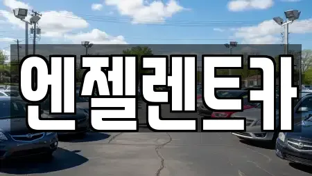 경상남도 창원시 마산합포구 남성동 렌트카 전문 엔젤렌트카