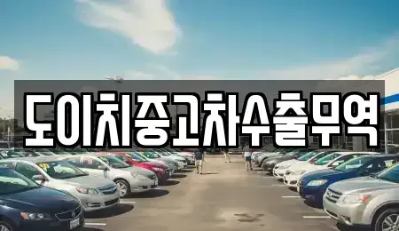 경상남도 창원시 마산합포구 남성동 중고차매매 전문 도이치중고차수출무역