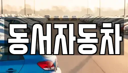 경상남도 창원시 마산합포구 남성동 중고차매매 전문 동서자동차