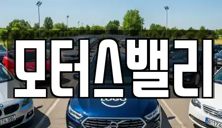 경상남도 창원시 마산합포구 남성동 중고차매매 전문 모터스밸리