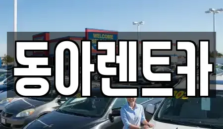 경상남도 창원시 마산합포구 동성동 렌트카 전문 동아렌트카