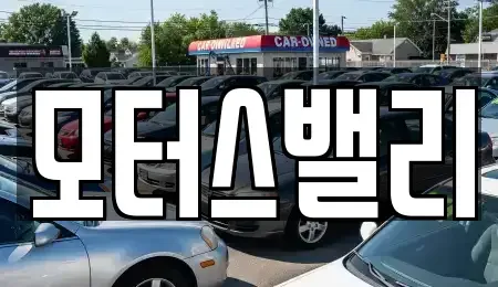 경상남도 창원시 마산합포구 동성동 중고차 전문 모터스밸리
